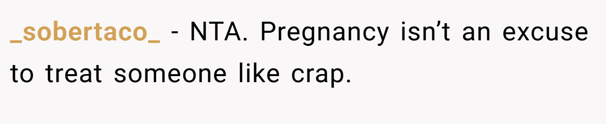 _sobertaco_ − NTA. Pregnancy isn’t an excuse to treat someone like crap.