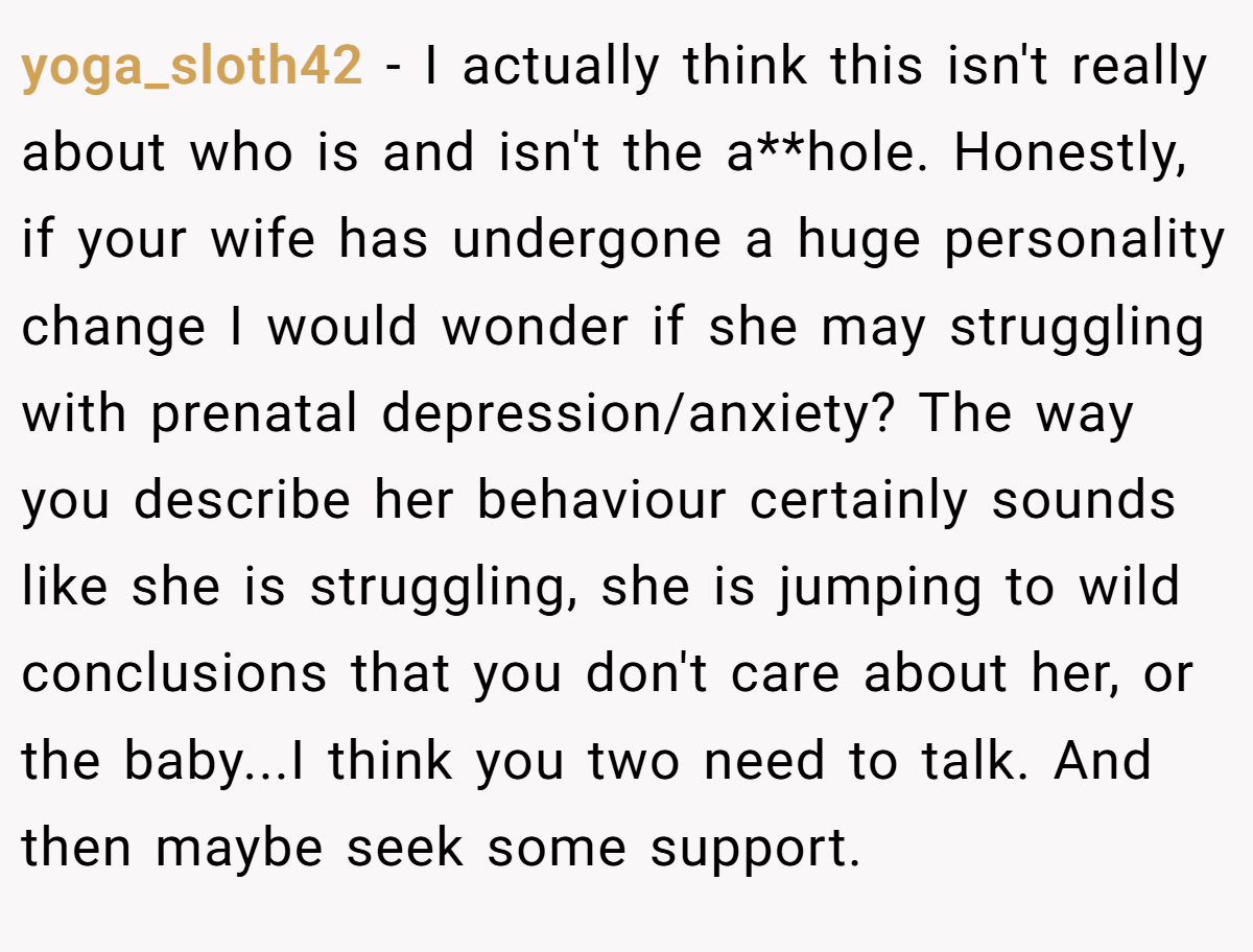 yoga_sloth42 − I actually think this isn't really about who is and isn't the a**hole. Honestly, if your wife has undergone a huge personality change I would wonder if she may struggling with prenatal depression/anxiety? The way you describe her behaviour certainly sounds like she is struggling, she is jumping to wild conclusions that you don't care about her, or the baby...I think you two need to talk. And then maybe seek some support.