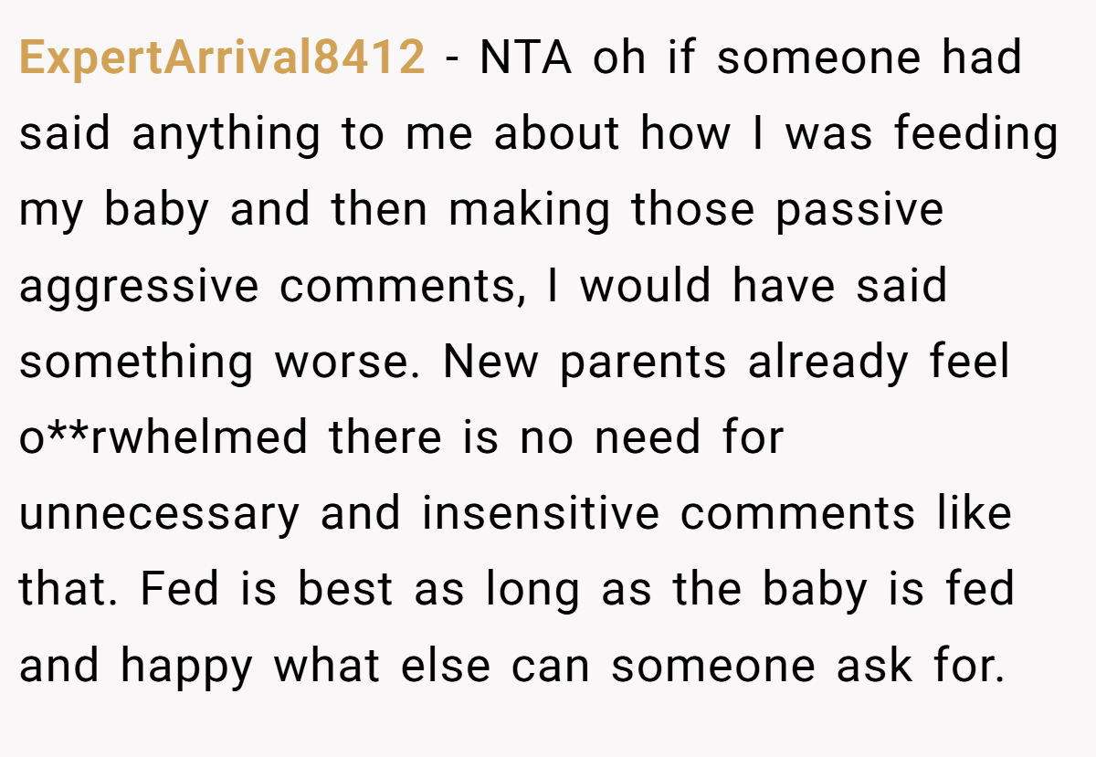 ExpertArrival8412 − NTA oh if someone had said anything to me about how I was feeding my baby and then making those passive aggressive comments, I would have said something worse. New parents already feel o**rwhelmed there is no need for unnecessary and insensitive comments like that. Fed is best as long as the baby is fed and happy what else can someone ask for.