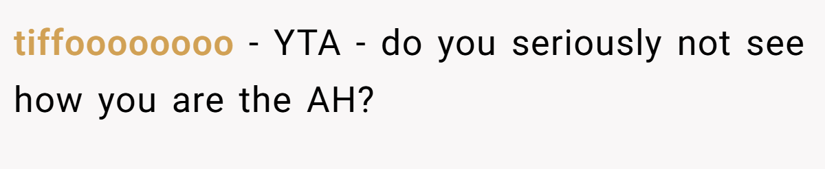 tiffoooooooo − YTA - do you seriously not see how you are the AH?