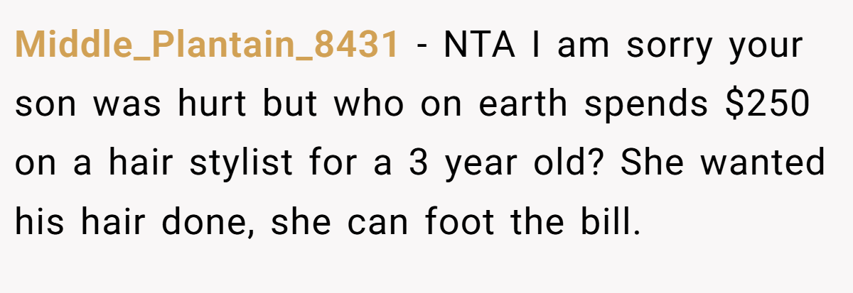 Middle_Plantain_8431 − NTA I am sorry your son was hurt but who on earth spends $250 on a hair stylist for a 3 year old? She wanted his hair done, she can foot the bill.