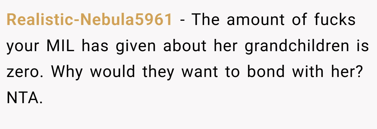 Realistic-Nebula5961 - The amount of fucks your MIL has given about her grandchildren is zero. Why would they want to bond with her? NTA.