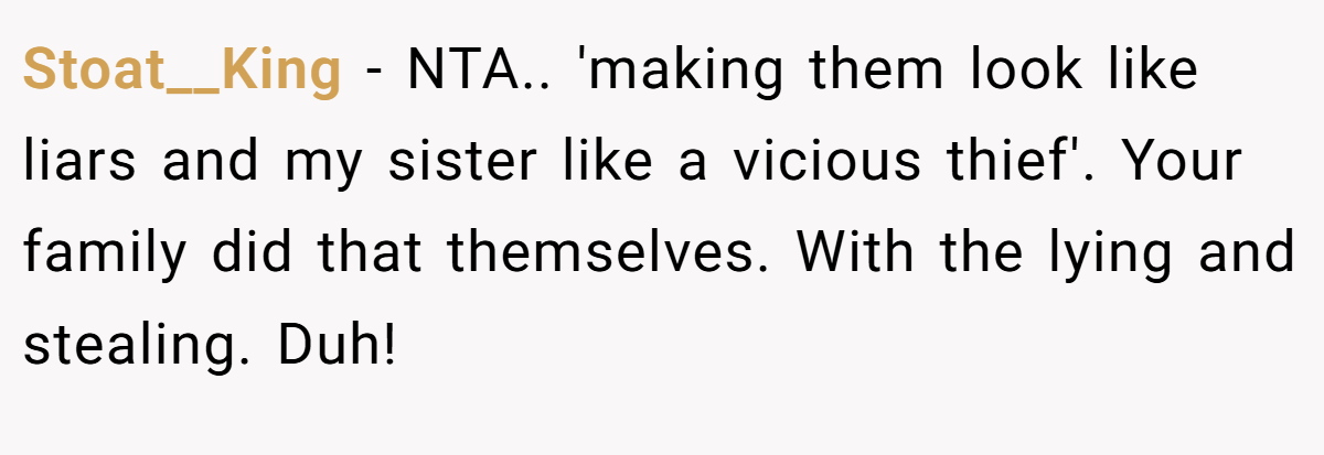 Stoat__King − NTA.. 'making them look like liars and my sister like a vicious thief'. Your family did that themselves. With the lying and stealing. Duh!