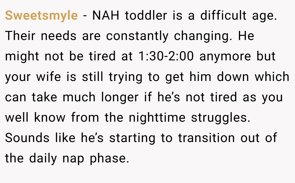 Sweetsmyle − NAH toddler is a difficult age. Their needs are constantly changing. He might not be tired at 1:30-2:00 anymore but your wife is still trying to get him down which can take much longer if he’s not tired as you well know from the nighttime struggles. Sounds like he’s starting to transition out of the daily nap phase.
