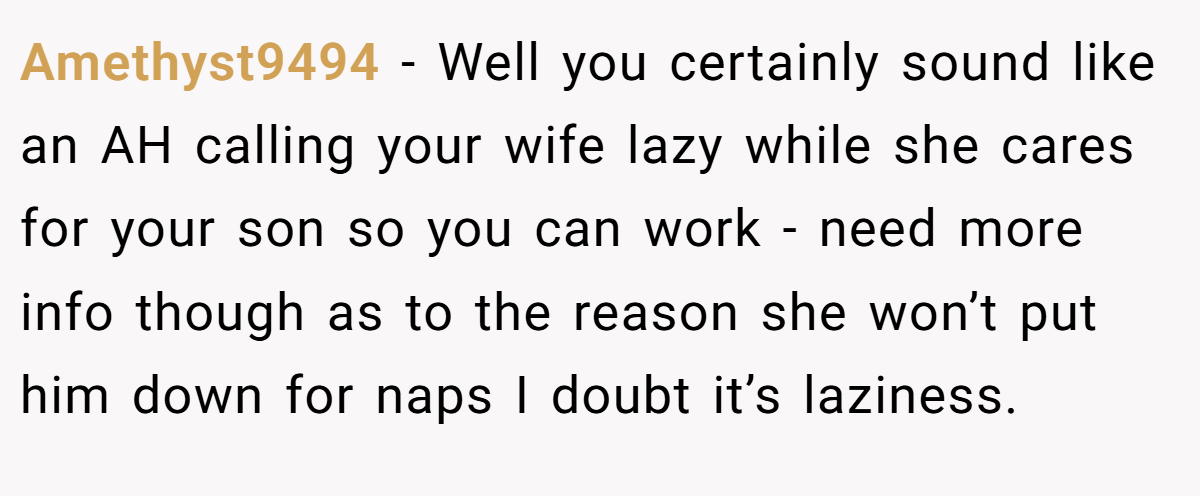 Amethyst9494 − Well you certainly sound like an AH calling your wife lazy while she cares for your son so you can work - need more info though as to the reason she won’t put him down for naps I doubt it’s laziness.