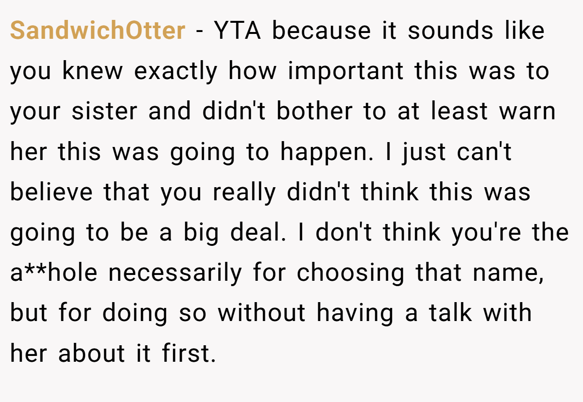 SandwichOtter − YTA because it sounds like you knew exactly how important this was to your sister and didn't bother to at least warn her this was going to happen. I just can't believe that you really didn't think this was going to be a big deal. I don't think you're the a**hole necessarily for choosing that name, but for doing so without having a talk with her about it first.