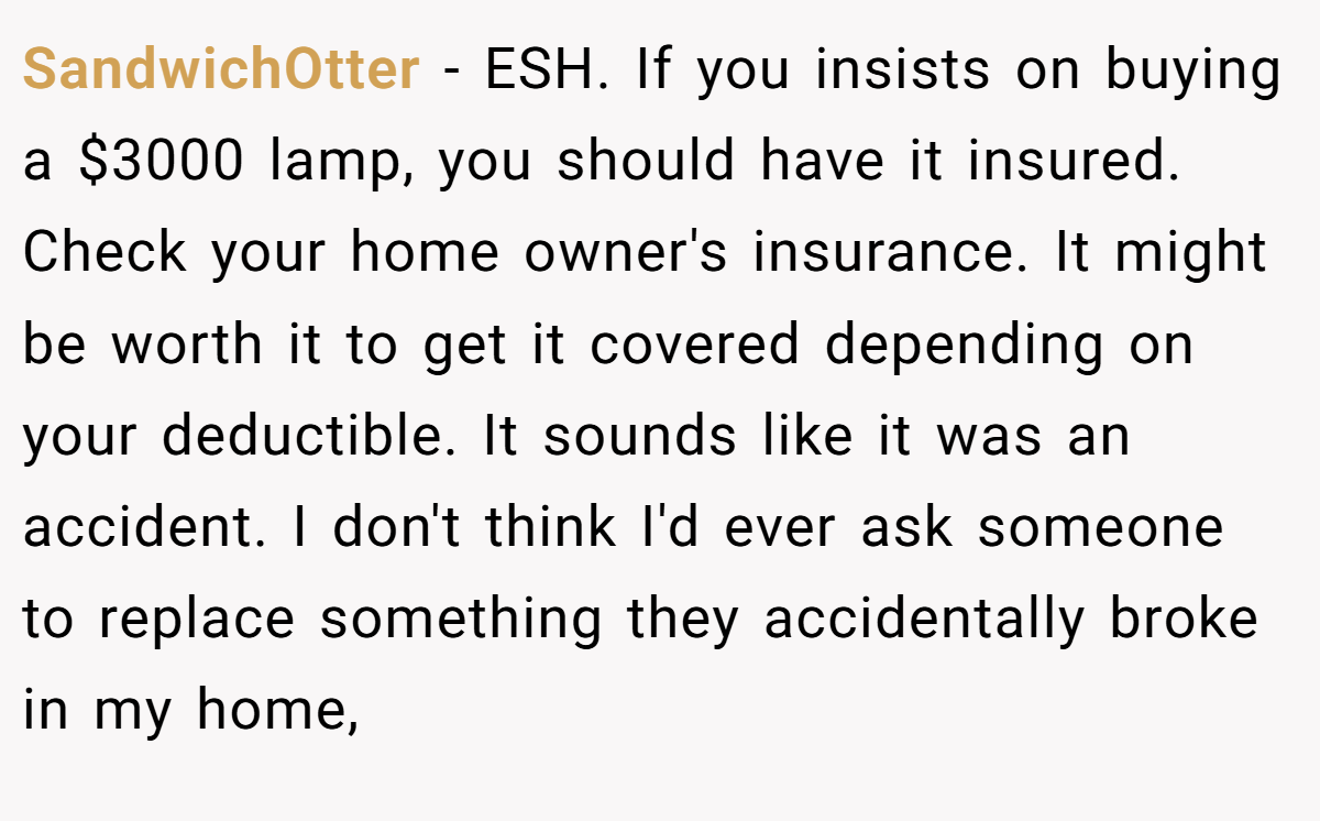 SandwichOtter − ESH. If you insists on buying a $3000 lamp, you should have it insured. Check your home owner's insurance. It might be worth it to get it covered depending on your deductible. It sounds like it was an accident. I don't think I'd ever ask someone to replace something they accidentally broke in my home,