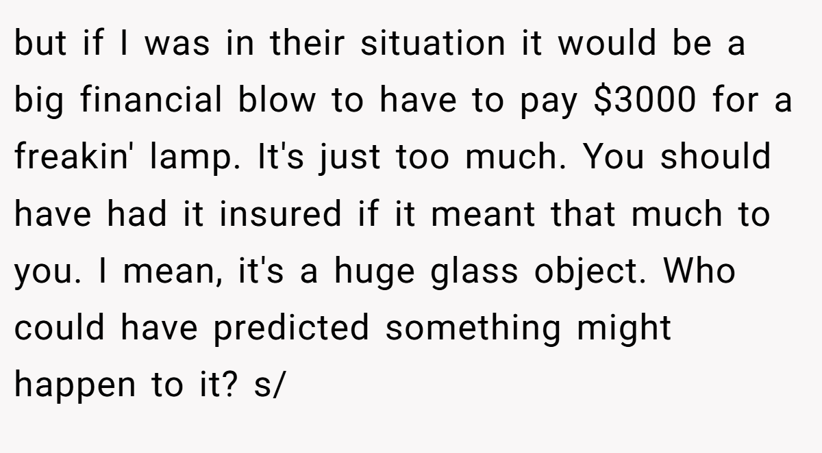 but if I was in their situation it would be a big financial blow to have to pay $3000 for a freakin' lamp. It's just too much. You should have had it insured if it meant that much to you. I mean, it's a huge glass object. Who could have predicted something might happen to it? s/