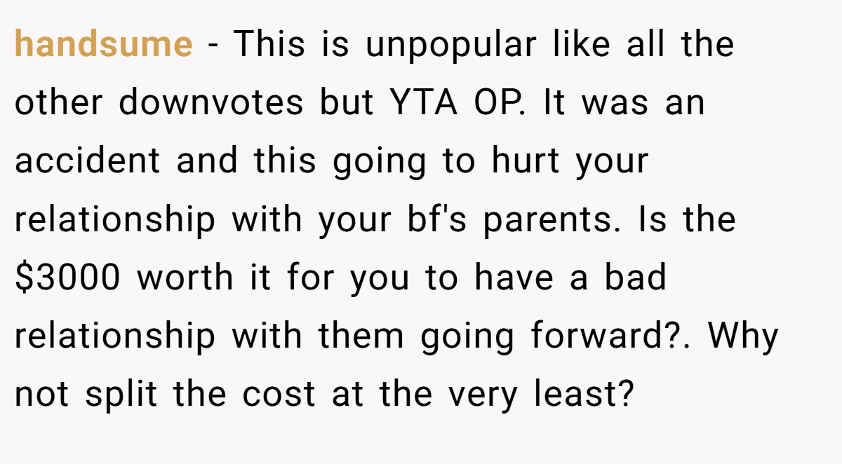 handsume − This is unpopular like all the other downvotes but YTA OP. It was an accident and this going to hurt your relationship with your bf's parents. Is the $3000 worth it for you to have a bad relationship with them going forward?. Why not split the cost at the very least?