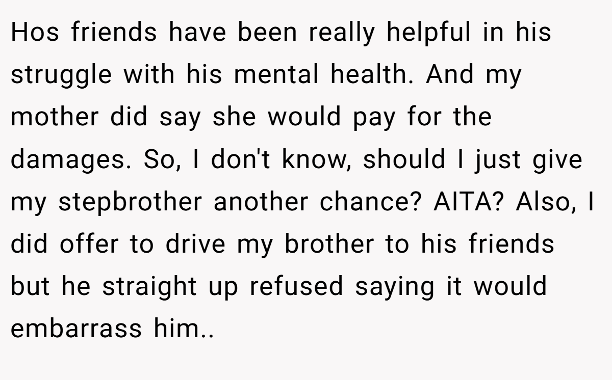 Hos friends have been really helpful in his struggle with his mental health. And my mother did say she would pay for the damages. So, I don't know, should I just give my stepbrother another chance? AITA? Also, I did offer to drive my brother to his friends but he straight up refused saying it would embarrass him..