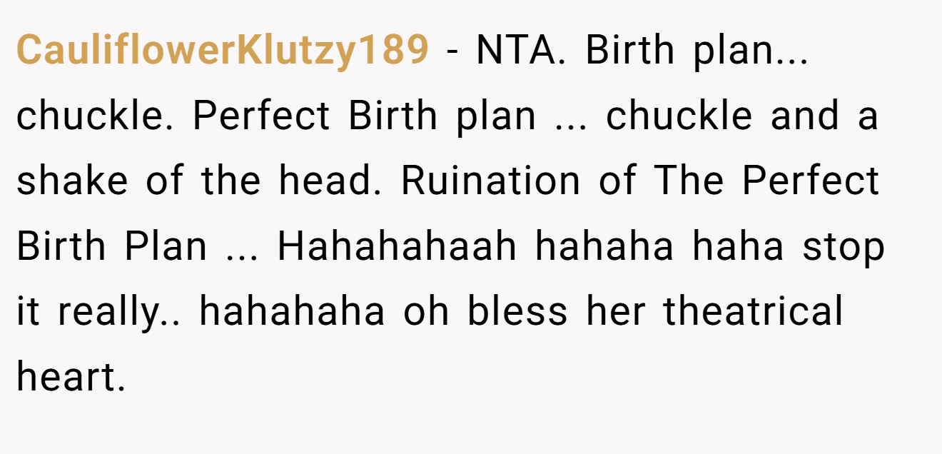 CauliflowerKlutzy189 - NTA. Birth plan... chuckle. Perfect Birth plan ... chuckle and a shake of the head. Ruination of The Perfect Birth Plan ... Hahahahaah hahaha haha stop it really.. hahahaha oh bless her theatrical heart.