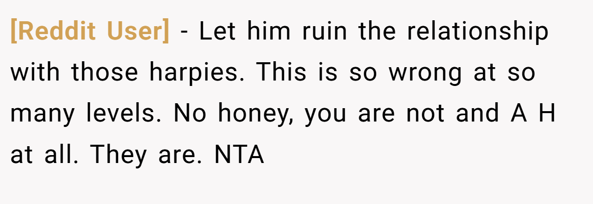 [Reddit User] − Let him ruin the relationship with those harpies. This is so wrong at so many levels. No honey, you are not and A H at all. They are. NTA