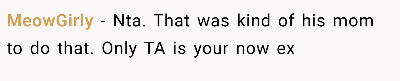 MeowGirly - Nta. That was kind of his mom to do that. Only TA is your now ex