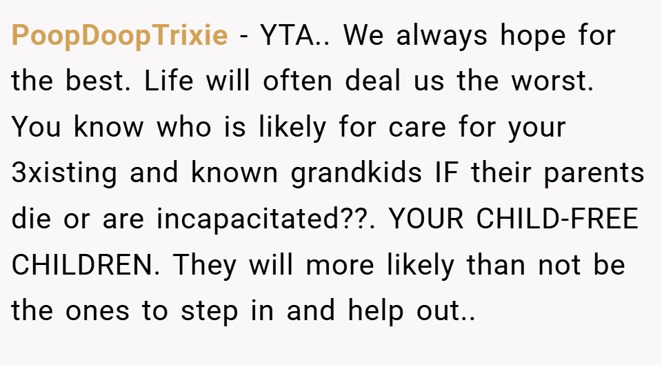 PoopDoopTrixie − YTA.. We always hope for the best. Life will often deal us the worst. You know who is likely for care for your 3xisting and known grandkids IF their parents die or are incapacitated??. YOUR CHILD-FREE CHILDREN. They will more likely than not be the ones to step in and help out..