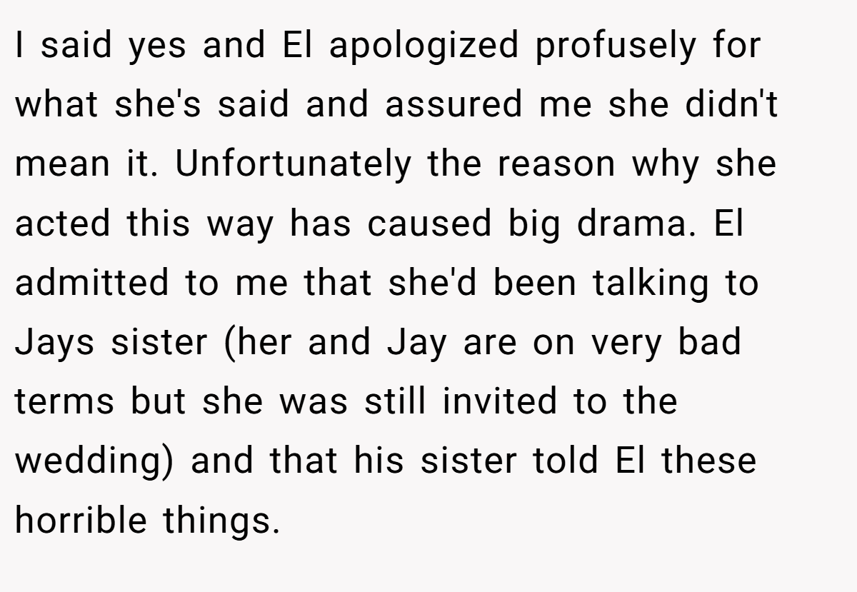 I said yes and El apologized profusely for what she's said and assured me she didn't mean it. Unfortunately the reason why she acted this way has caused big drama. El admitted to me that she'd been talking to Jays sister (her and Jay are on very bad terms but she was still invited to the wedding) and that his sister told El these horrible things.