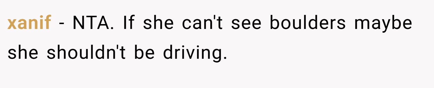 xanif − NTA. If she can't see boulders maybe she shouldn't be driving.