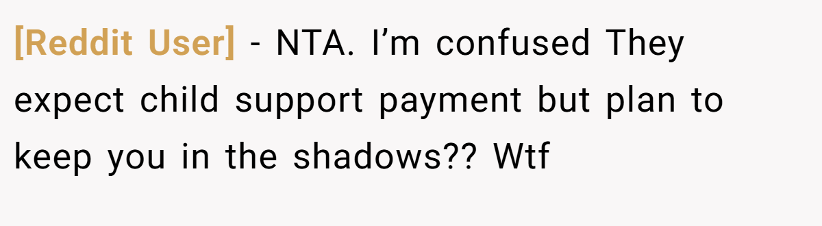 [Reddit User] − NTA. I’m confused They expect child support payment but plan to keep you in the shadows?? Wtf