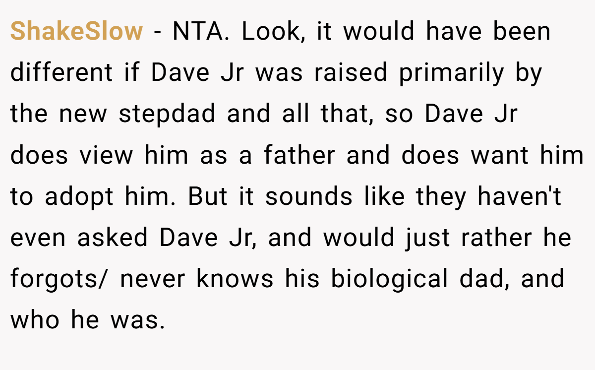 ShakeSlow − NTA. Look, it would have been different if Dave Jr was raised primarily by the new stepdad and all that, so Dave Jr does view him as a father and does want him to adopt him. But it sounds like they haven't even asked Dave Jr, and would just rather he forgots/ never knows his biological dad, and who he was.