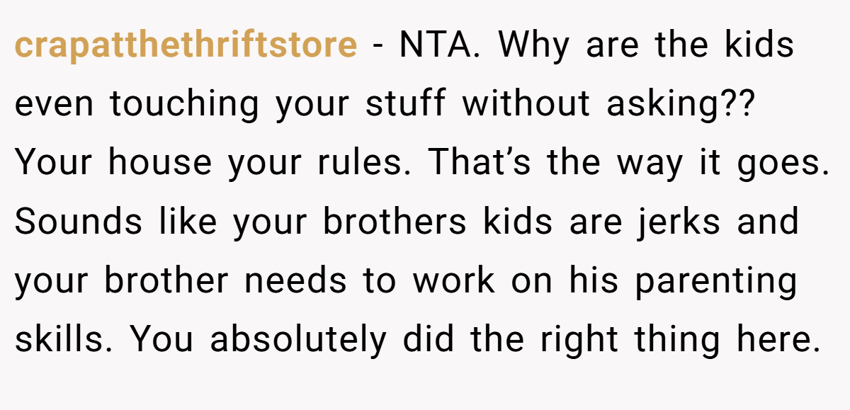 crapatthethriftstore − NTA. Why are the kids even touching your stuff without asking?? Your house your rules. That’s the way it goes. Sounds like your brothers kids are jerks and your brother needs to work on his parenting skills. You absolutely did the right thing here.