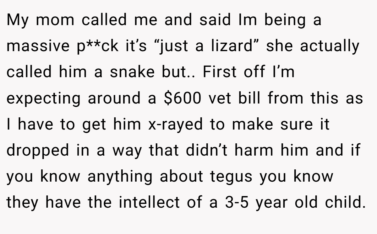 My mom called me and said Im being a massive p**ck it’s “just a lizard” she actually called him a snake but.. First off I’m expecting around a $600 vet bill from this as I have to get him x-rayed to make sure it dropped in a way that didn’t harm him and if you know anything about tegus you know they have the intellect of a 3-5 year old child.