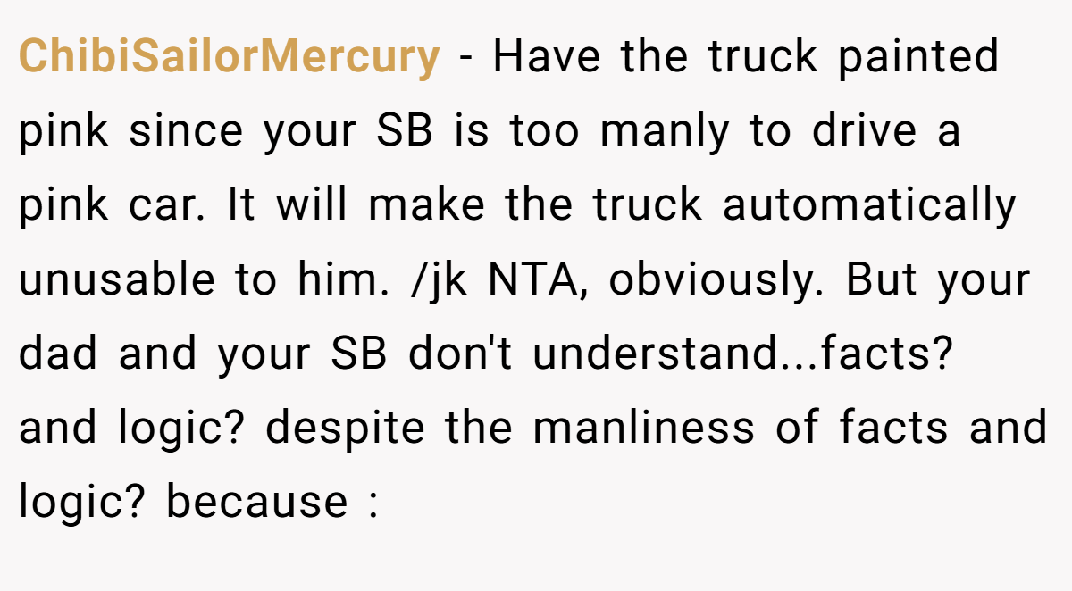 ChibiSailorMercury − Have the truck painted pink since your SB is too manly to drive a pink car. It will make the truck automatically unusable to him. /jk NTA, obviously. But your dad and your SB don't understand...facts? and logic? despite the manliness of facts and logic? because : 