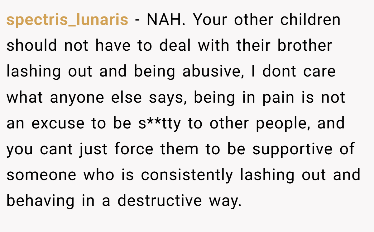spectris_lunaris − NAH. Your other children should not have to deal with their brother lashing out and being abusive, I dont care what anyone else says, being in pain is not an excuse to be s**tty to other people, and you cant just force them to be supportive of someone who is consistently lashing out and behaving in a destructive way.