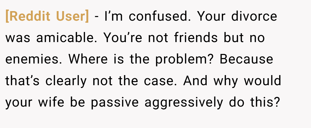 [Reddit User] − I’m confused. Your divorce was amicable. You’re not friends but no enemies. Where is the problem? Because that’s clearly not the case. And why would your wife be passive aggressively do this?