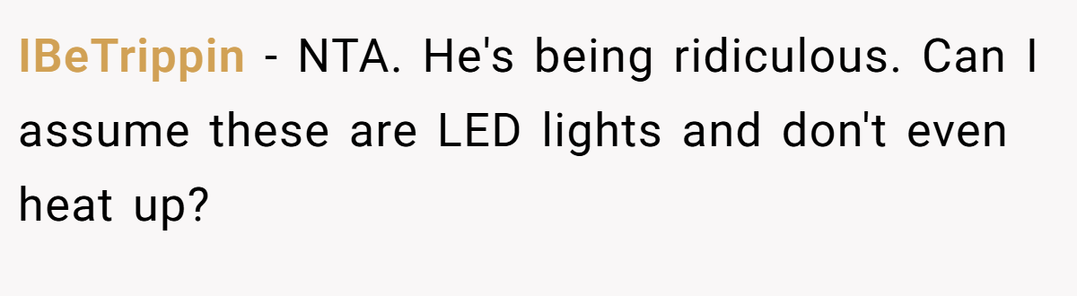 IBeTrippin − NTA. He's being ridiculous. Can I assume these are LED lights and don't even heat up?