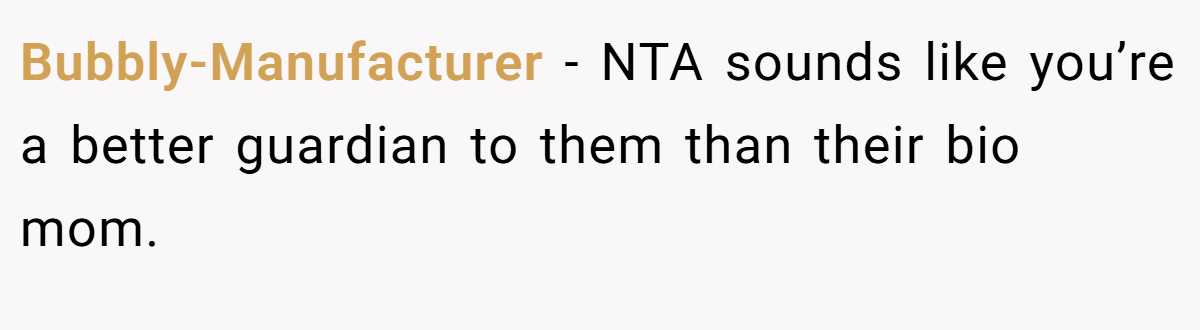 Bubbly-Manufacturer − NTA sounds like you’re a better guardian to them than their bio mom.