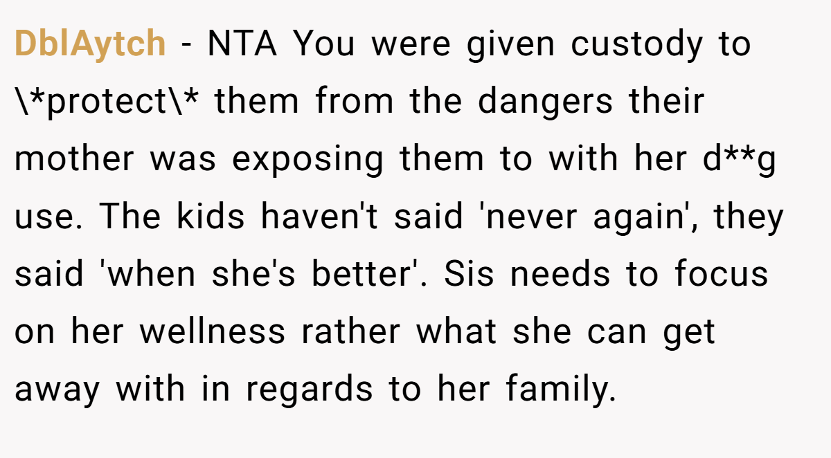 DblAytch − NTA You were given custody to \*protect\* them from the dangers their mother was exposing them to with her d**g use. The kids haven't said 'never again', they said 'when she's better'. Sis needs to focus on her wellness rather what she can get away with in regards to her family.