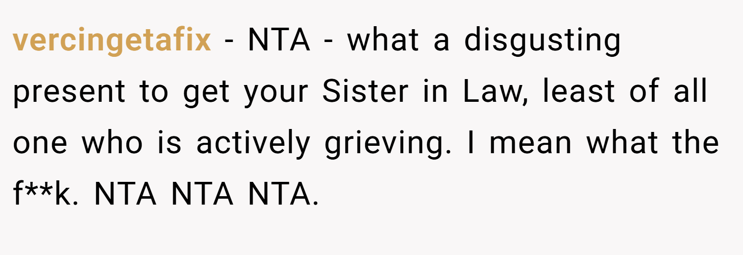 vercingetafix − NTA - what a disgusting present to get your Sister in Law, least of all one who is actively grieving. I mean what the f**k. NTA NTA NTA.