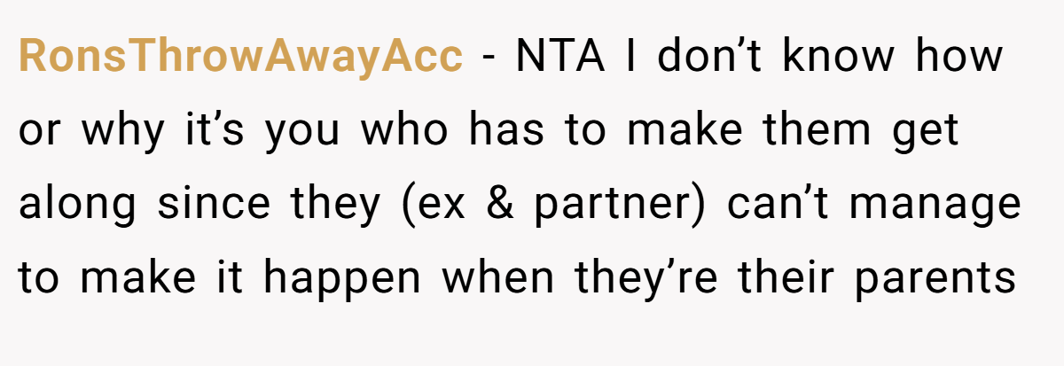 RonsThrowAwayAcc − NTA I don’t know how or why it’s you who has to make them get along since they (ex & partner) can’t manage to make it happen when they’re their parents