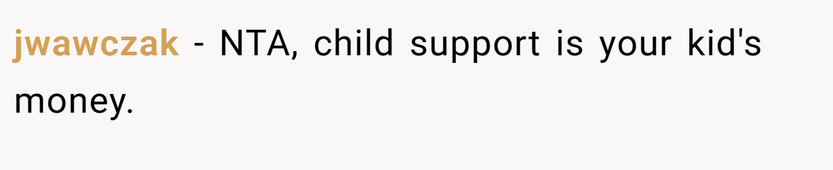 jwawczak − NTA, child support is your kid's money.