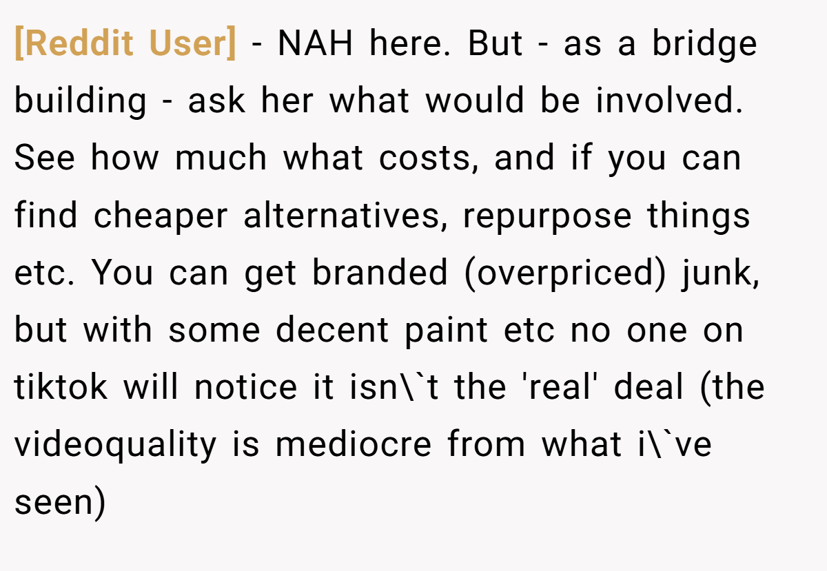[Reddit User] − NAH here. But - as a bridge building - ask her what would be involved. See how much what costs, and if you can find cheaper alternatives, repurpose things etc. You can get branded (overpriced) junk, but with some decent paint etc no one on tiktok will notice it isn\`t the 'real' deal (the videoquality is mediocre from what i\`ve seen)
