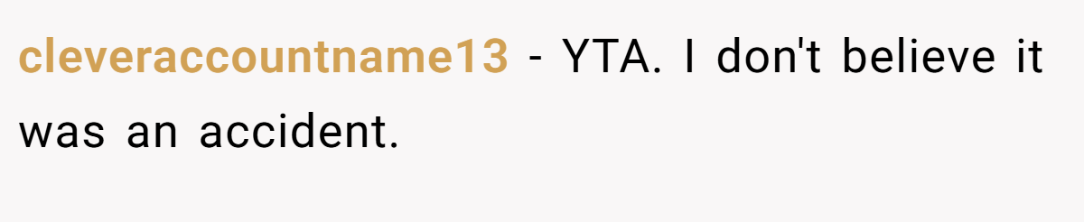 cleveraccountname13 − YTA. I don't believe it was an accident.