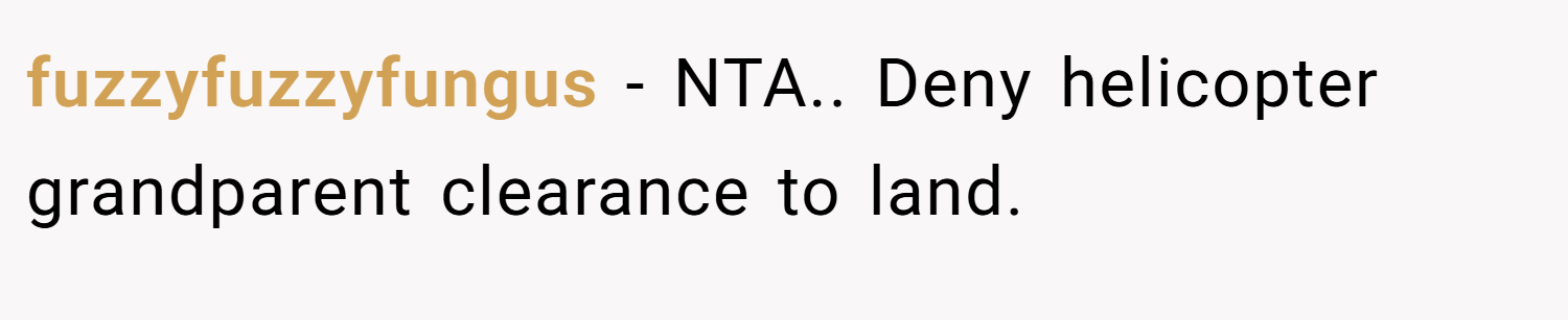 fuzzyfuzzyfungus − NTA.. Deny helicopter grandparent clearance to land.