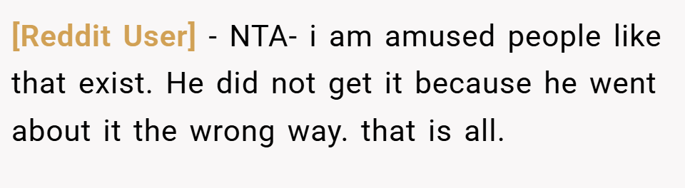 [Reddit User] − NTA- i am amused people like that exist. He did not get it because he went about it the wrong way. that is all.