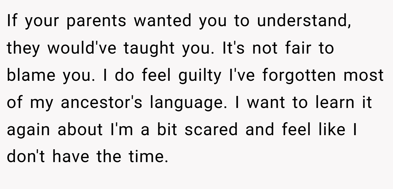 If your parents wanted you to understand, they would've taught you. It's not fair to blame you. I do feel guilty I've forgotten most of my ancestor's language. I want to learn it again about I'm a bit scared and feel like I don't have the time.