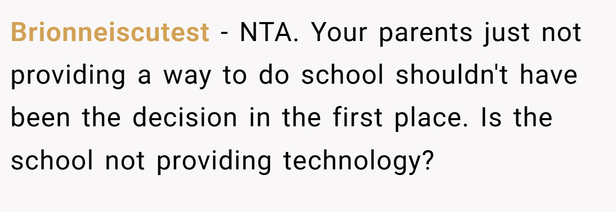 Brionneiscutest − NTA. Your parents just not providing a way to do school shouldn't have been the decision in the first place. Is the school not providing technology?