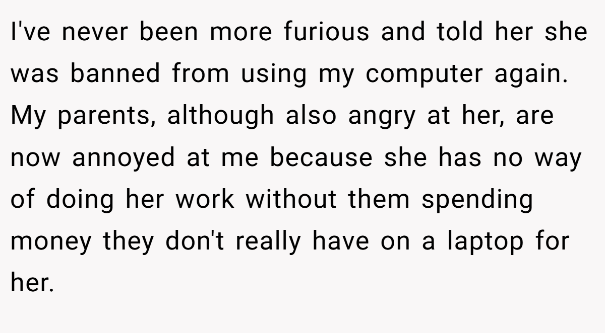 I've never been more furious and told her she was banned from using my computer again. My parents, although also angry at her, are now annoyed at me because she has no way of doing her work without them spending money they don't really have on a laptop for her.