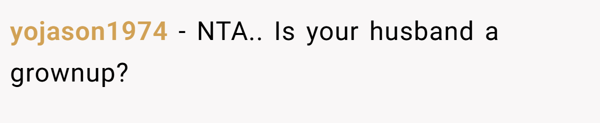 yojason1974 − NTA.. Is your husband a grownup?