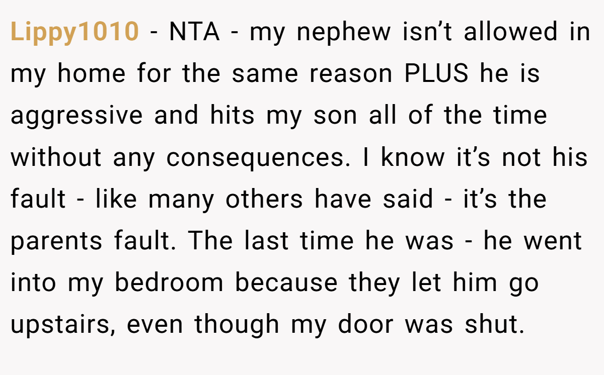 Lippy1010 - NTA - my nephew isn’t allowed in my home for the same reason PLUS he is aggressive and hits my son all of the time without any consequences. I know it’s not his fault - like many others have said - it’s the parents fault. The last time he was - he went into my bedroom because they let him go upstairs, even though my door was shut.