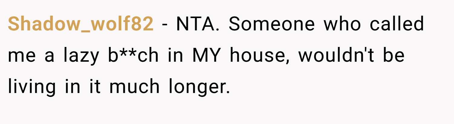 Shadow_wolf82 − NTA. Someone who called me a lazy b**ch in MY house, wouldn't be living in it much longer.
