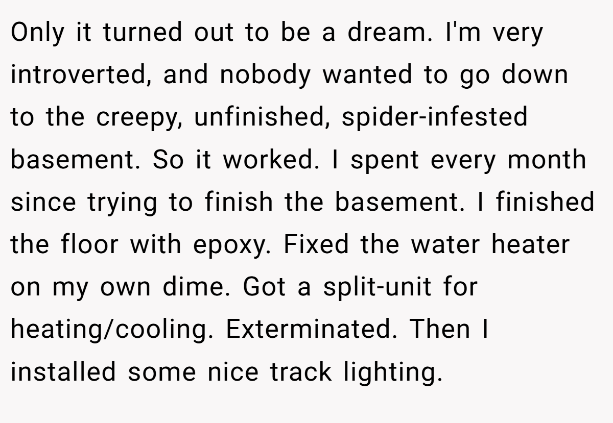 Only it turned out to be a dream. I'm very introverted, and nobody wanted to go down to the creepy, unfinished, spider-infested basement. So it worked. I spent every month since trying to finish the basement. I finished the floor with epoxy. Fixed the water heater on my own dime. Got a split-unit for heating/cooling. Exterminated. Then I installed some nice track lighting.