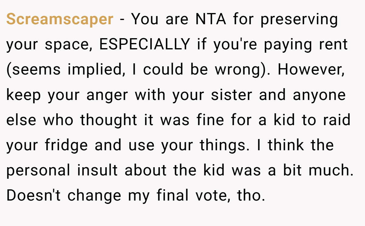 Screamscaper − You are NTA for preserving your space, ESPECIALLY if you're paying rent (seems implied, I could be wrong). However, keep your anger with your sister and anyone else who thought it was fine for a kid to raid your fridge and use your things. I think the personal insult about the kid was a bit much. Doesn't change my final vote, tho.