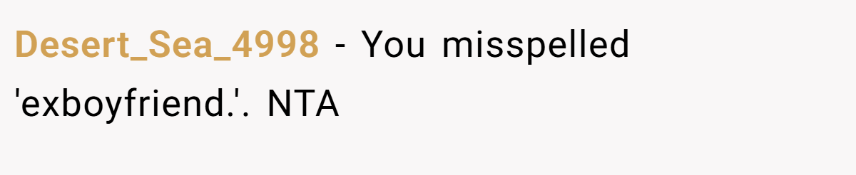 Desert_Sea_4998 − You misspelled 'exboyfriend.'. NTA