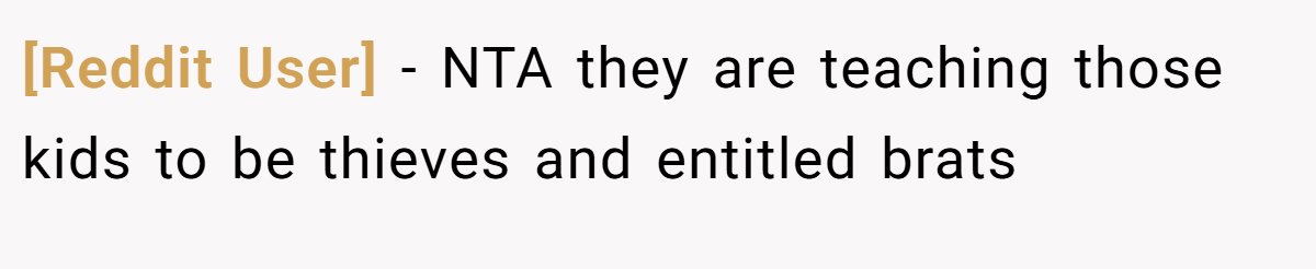 [Reddit User] − NTA they are teaching those kids to be thieves and entitled brats