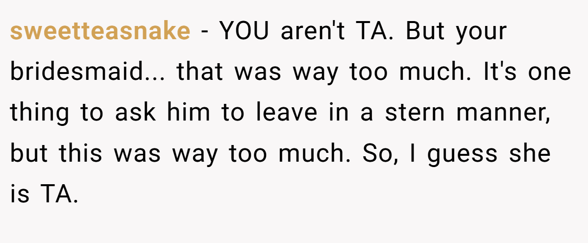 sweetteasnake − YOU aren't TA. But your bridesmaid... that was way too much. It's one thing to ask him to leave in a stern manner, but this was way too much. So, I guess she is TA.