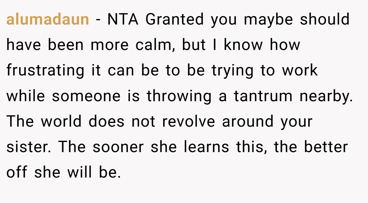 alumadaun - NTA Granted you maybe should have been more calm, but I know how frustrating it can be to be trying to work while someone is throwing a tantrum nearby. The world does not revolve around your sister. The sooner she learns this, the better off she will be.