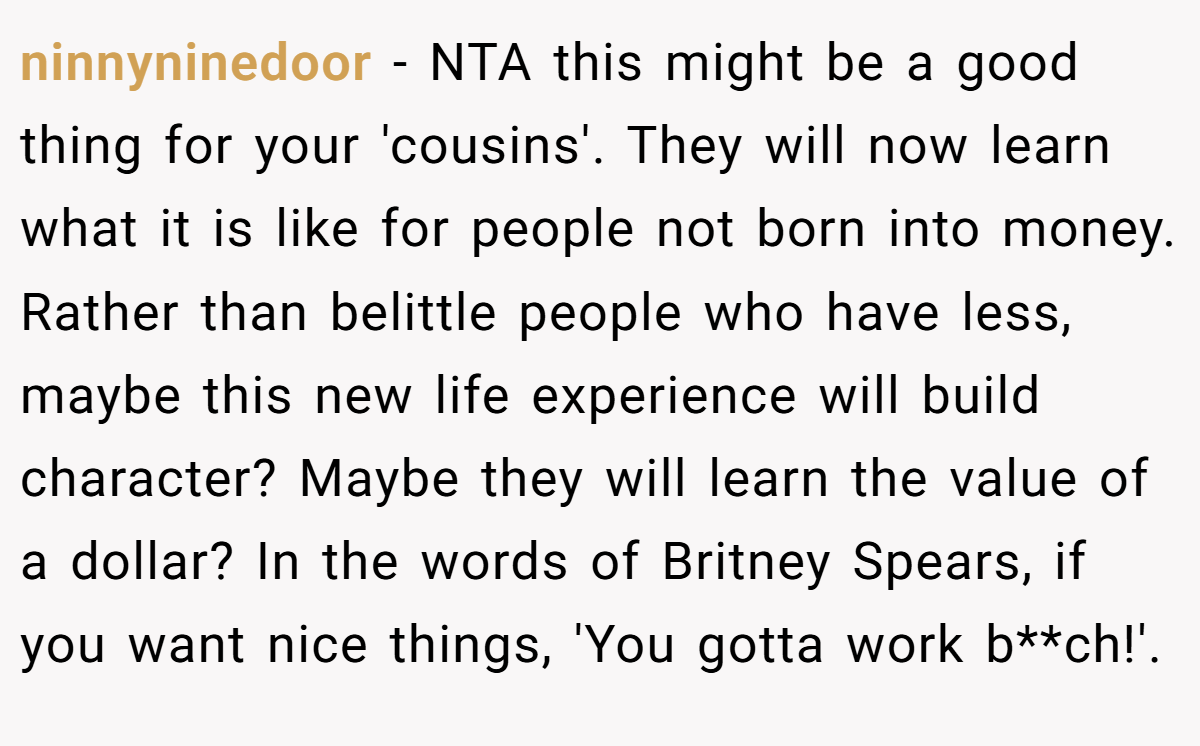 ninnyninedoor - NTA this might be a good thing for your 'cousins'. They will now learn what it is like for people not born into money. Rather than belittle people who have less, maybe this new life experience will build character? Maybe they will learn the value of a dollar? In the words of Britney Spears, if you want nice things, 'You gotta work b**ch!'.
